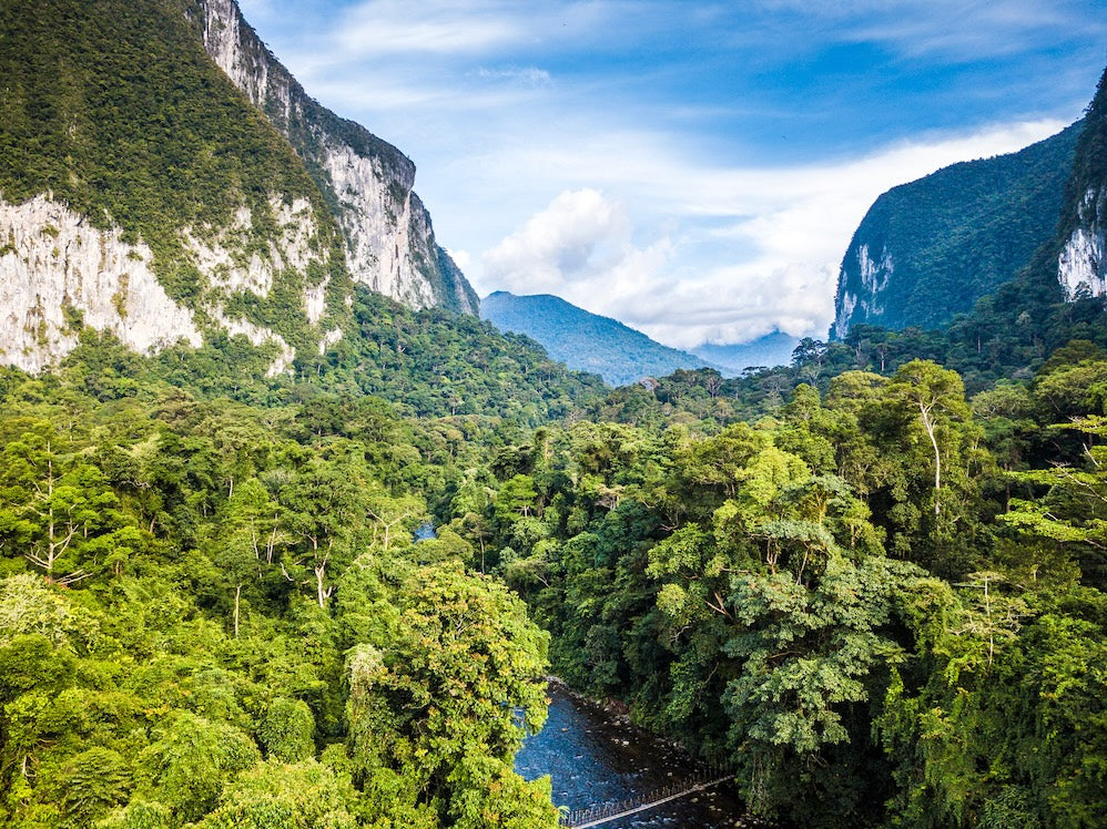 Wildlife Encounters in Malaysian Borneo