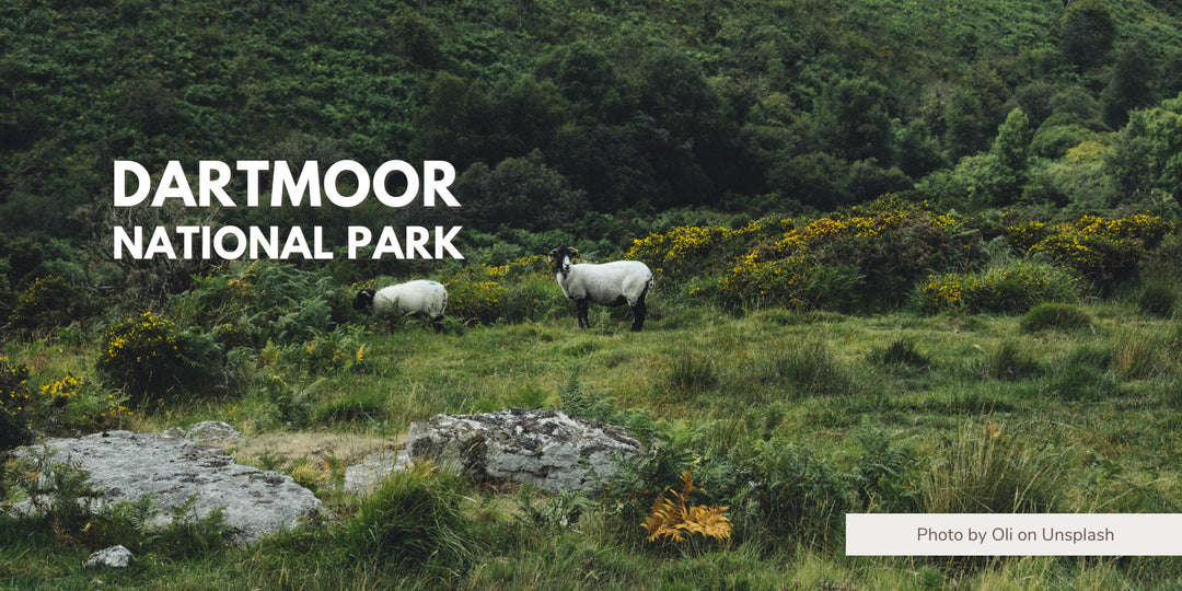 Dartmoor National Park - Where Is Dartmoor on The Map?