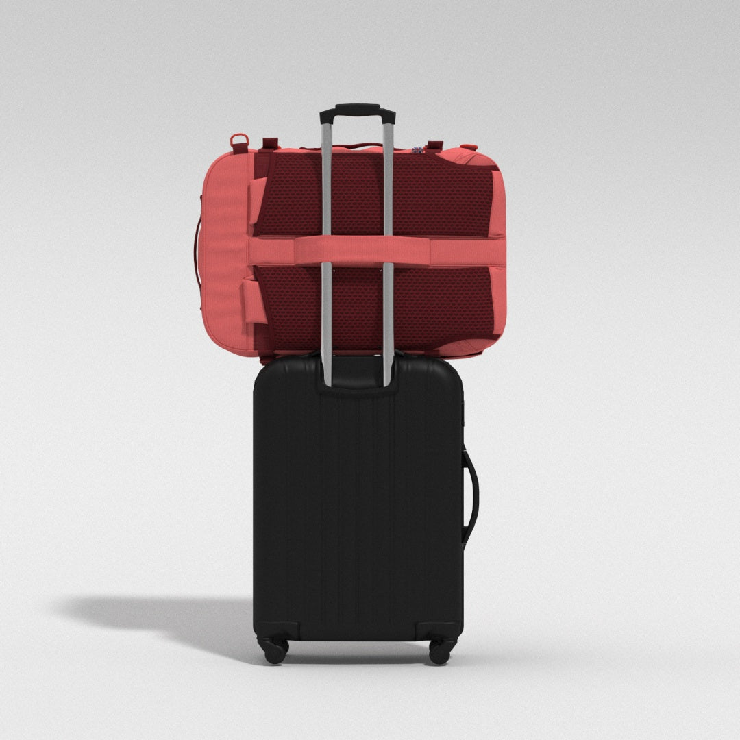 Classic Pro 32L リュック •  Peach Valley