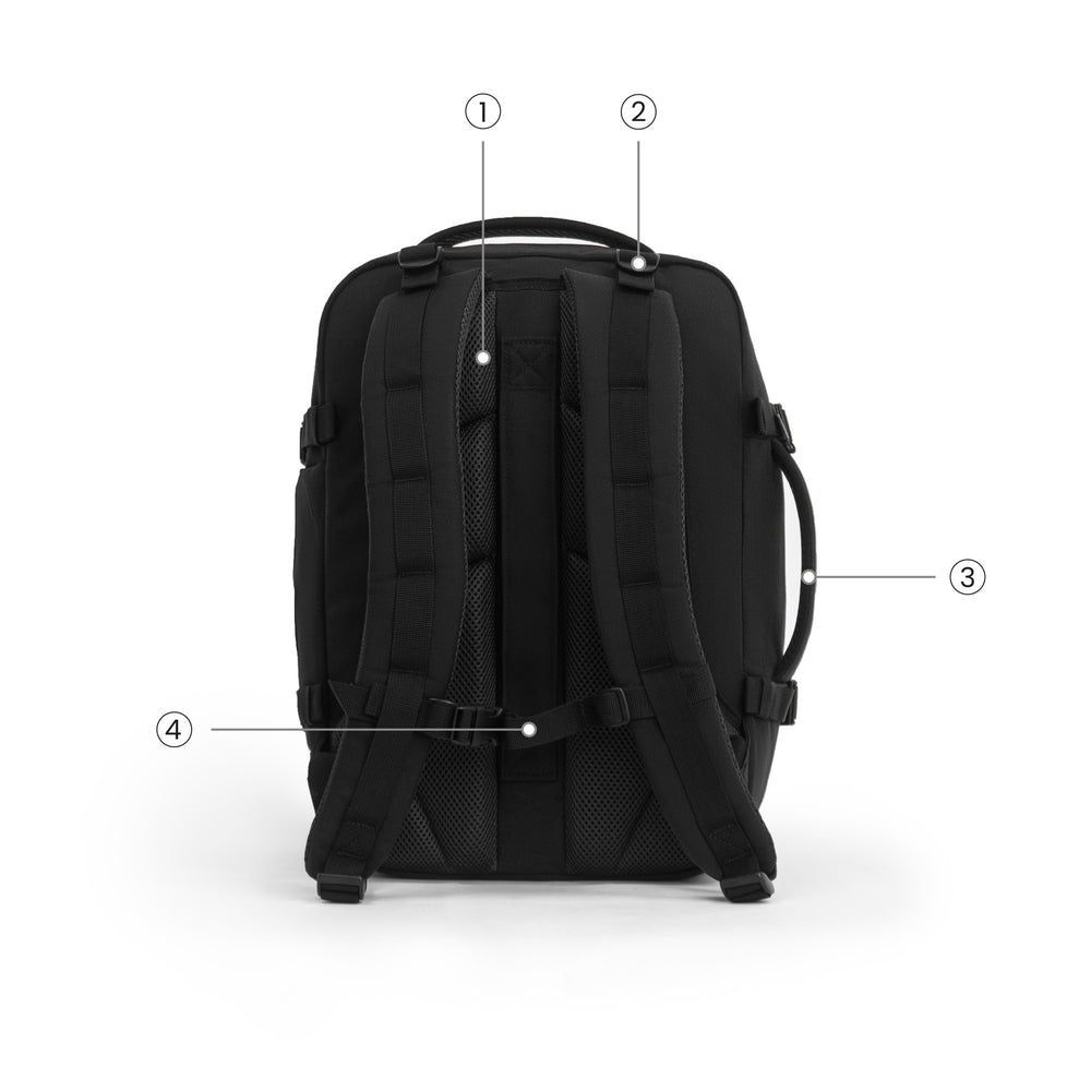 Back